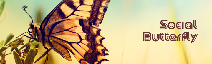 Social Butterfly